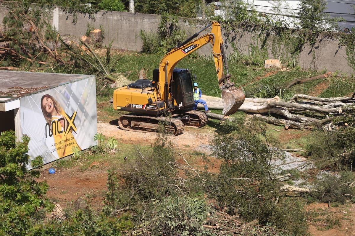 Construtora comea corte de 384 rvores para construo de prdio em SP